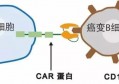 120万元一针药治愈癌症事实是实在仍是噱头？