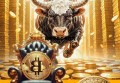 比特币能否有优势 比特币有啥用说白了